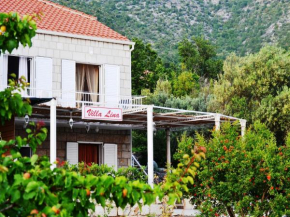 Villa Lina